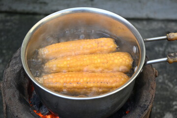 Sweet corn is being boiled. This is a complete food for humans. It contains many vitamins, such as Vitamin B1, B5, C, B9, E, A. Boiled corn on the cob. It's like all over world. Heathy eating. 
