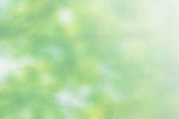 コンクリートの壁　ぼやけた木の葉