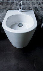 Hygienic Shower with Chrome Details