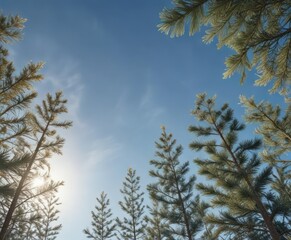 Obraz premium Gold star accents against a soft blue background with long pine branches stretching towards the sky, conveying a sense of freedom , natural elements, airy decor, blue background