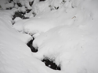 雪景色