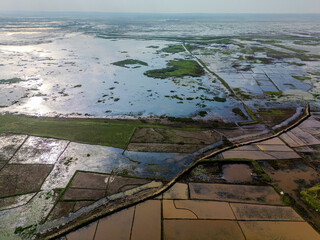 Fototapeta premium Expansive Aerial View of Waterlogged Farmland and Wetlands in Sreemangal, Sylhet, Bangladesh