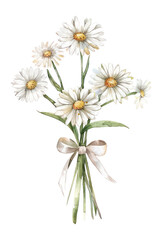 Fototapeta premium PNG Daisy bouquet watercolor flower white.