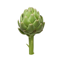 Fototapeta premium Single Fresh Artichoke Neatly Placed on a Clean White Surface