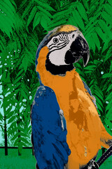 colorful illustration of macaw parrot © Nina