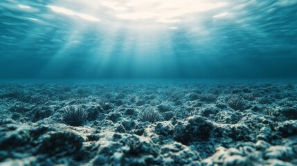 Fototapeta premium Underwater View of Regenerating Coral Reefs in a Vibrant Ocean Environment