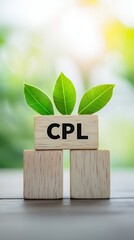 Creative wooden blocks with CPL label and green leaves representing growth and sustainability in a bright outdoor setting