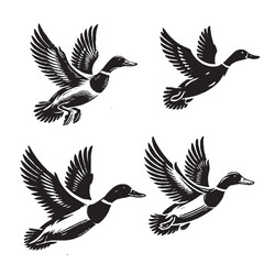 Obraz premium 4 set of 