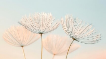 Delicate dandelion seeds gently illuminated by soft light against a pastel sky during sunset