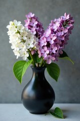 Delicate lilac blooms in dark vase against gray background, white flowers, still life