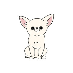 スムースチワワ(ホワイト)