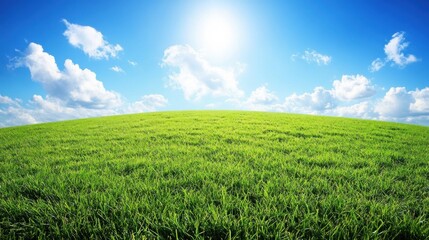 Obraz premium Sunny day, green field, blue sky, clouds, idyllic landscape, nature background, website banner
