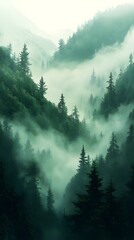 A rich gradient transitioning from olive green to pale moss.