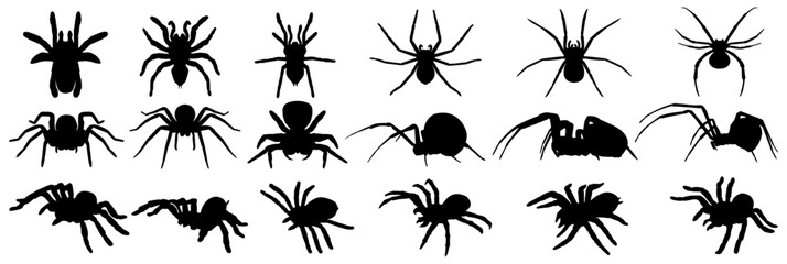 set vector spider silhouettes icon. tarantula. widow spiders. Halloween spider symbol design template illustration