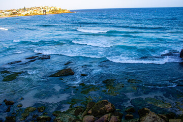 Obraz premium Stunning Bondi Beach rocks covered in vibrant green moss, with waves crashing and creating a dynamic splash. Perfect blend of nature�s textures and coastal energy.