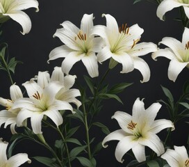 Fototapeta premium Minimalist Floral Background with Lily Outlines , abstract, floral, flower