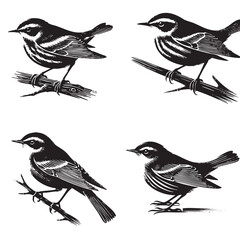 High-Quality Vector Silhouette of a Yellow Warbler on White Background