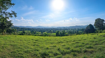 Fototapeta premium Sunny hillside pasture, mountain vista, bright sky, rural scene, landscape