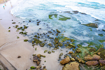 Stunning rocks at Bondi Beach covered in vibrant green moss with water splashing against them. Captures the rugged beauty and dynamic nature of this iconic coastal landscape.
