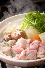 水炊き鍋の具材をお玉で持ち上げているイメージ