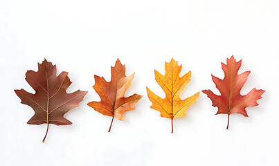 Fototapeta premium Flowers and leaves in pictures illustrator2D