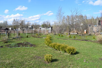 garden