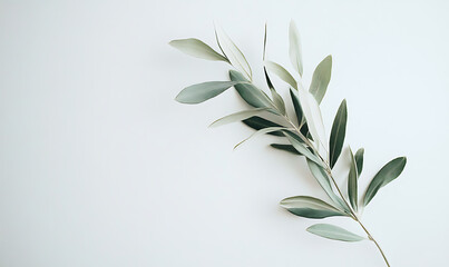 Flowers and leaves in pictures illustrator2D