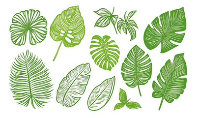 Fototapeta premium Flowers and leaves in pictures illustrator2D