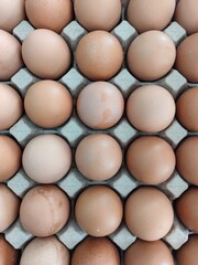 Top View of Fresh Brown Eggs in Paper Egg Trays
