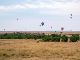 hot air balloon in flight