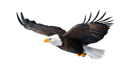 Fototapeta premium [Transparent Background PNG]Majestic Bald Eagle Soaring Through the Clouds