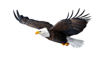 [Transparent Background PNG]Majestic Bald Eagle Soaring Through the Clouds