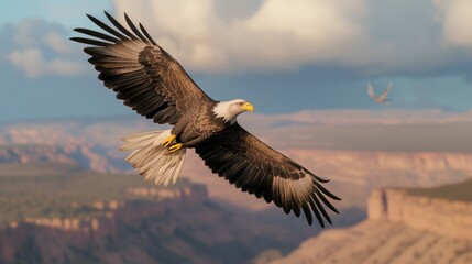 Obraz premium Majestic Eagle Soaring Over Canyon