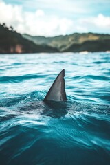 Fototapeta premium A shark fin slices through turquoise ocean waves, set against a backdrop of lush coastal hills and blue sky.