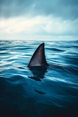 Fototapeta premium A lone shark fin breaks through the ocean's surface under a moody sky, symbolizing mystery and power in nature.