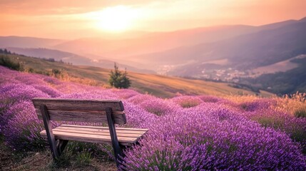 Serene Lavender Field at Sunset