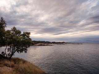 shoreline with trees and a cloudy sky over calm ocean with deep blue water, concept of peaceful and serene seascape, copyspace for text