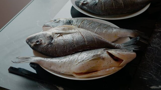 Fresh sea bream seasoned for cooking on plate, seasoned and prepared for culinary transformation with aromatic herbs and spices