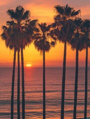 Silhouetted Palm Trees at Sunset Over Ocean
