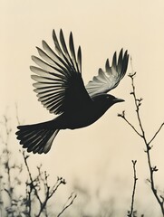 Fototapeta premium A silhouette of a single bird in flight against a pale cream background.