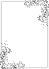 Elegant Floral Frames great for that special occasion
