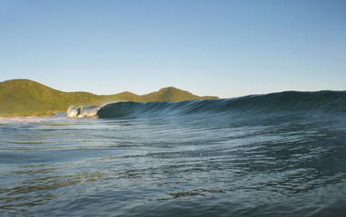 A beautiful wave on a beach on the coast of Venezuela in the Caribbean Sea