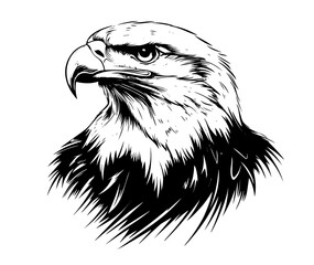 majestic bald eagle head black vector decorative sketch for engraving