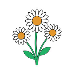 Shasta daisy flower colorful vector on white background.
Flower collection