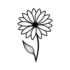 Fototapeta premium Shasta daisy flower line art vector on white background. Flower collection