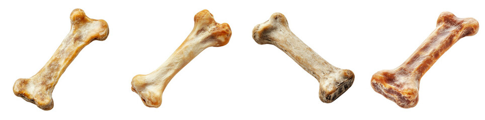Fototapeta premium Pet food bone isolated on a white background. Mix Collection Png.