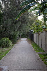 Beautiful exit pathway with evergreen trees on the left, banana trees on the right, and lush greenery in International Peace Park, Western Sydney, Australia. Serene, green, and inviting scenery.