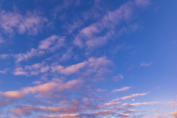 朝空