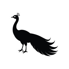Silhouette of a peacock vector illustration.