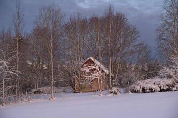 Fairytale winter landscape in Skaraborg Sweden one day before Christmas